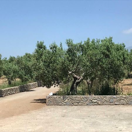 Tenuta Avolicino Villa Santa Domenica Talao Kültér fotó