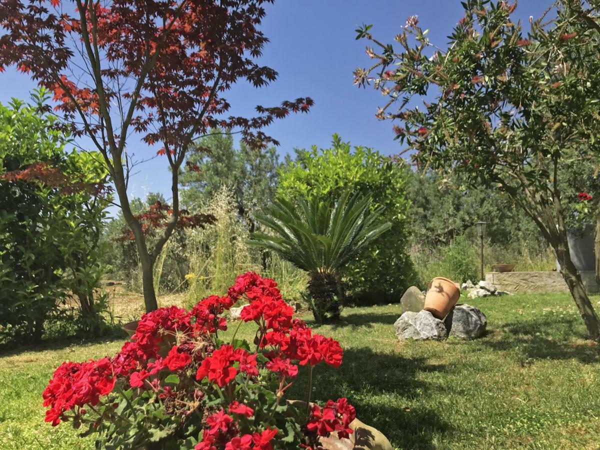 Tenuta Avolicino Villa Santa Domenica Talao Kültér fotó